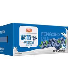 SINCE 1927 风行牛奶 蓝莓风味牛奶饮品 200ml*12盒