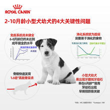 88VIP会员：ROYAL CANIN 皇家 小型犬幼犬营养粮50g