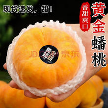 OIMG 山东蒙阴黄金蟠桃 新鲜毛蟠桃 5斤装 12-15个