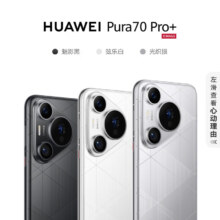 京东百亿补贴、plus会员:华为HUAWEI Pura 70 Pro+ 光织银 16GB+1TB 超高速风驰闪拍  双卫星通信 华为P70智能手机