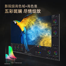 CHANGHONG 长虹 电视欧宝丽100Z60 100英寸384物理分区4+128GB大屏影院液晶