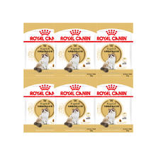 ROYAL CANIN 皇家 布偶成猫全价粮RA32/50g*6包猫主粮布偶