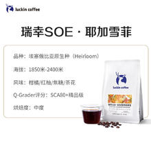 瑞幸咖啡 中烘焙 SOE耶加雪菲 咖啡豆 250g