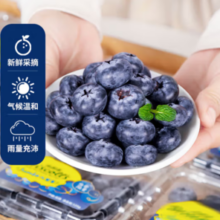 PLUS会员！蓝莓 125g *4盒 单果 15-18mm