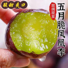 四川 五月脆凤凰李 5斤装（ 单果25-30g)