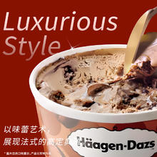Häagen·Dazs 哈根达斯 双重巧克力 高定马卡龙冰淇淋100ml