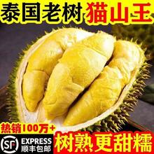 泰国猫山王榴莲肉 1份500克*2份 A级品质 顺丰冷链