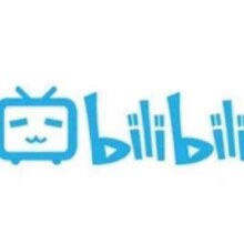 bilibili 哔哩哔哩 大会员年卡12个月
