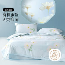 BLISS 百丽丝 100%蚕丝可水洗抗菌 夏凉空调被 220cm*240cm