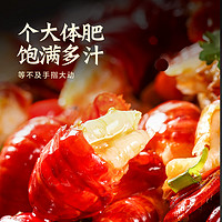 今锦上 麻辣小龙虾活虾烧制加热即食麻辣鲜香整虾4-6钱800g*2盒