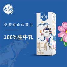 安子婿 全脂纯牛奶200g*4盒内蒙奶源3.3g乳蛋白
