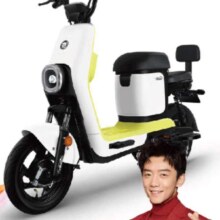 京东百亿补贴，五星钻豹电动车48V14AH电动自行车成人男女电瓶车B5增程版 珠光白