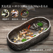 宠小帅 古法养鱼 复古仿石头鱼缸 【陶瓷盆雪花灰】碗莲10颗+溪流石500g+青龙石