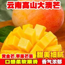 滇老头 黄金澳芒苹果芒新鲜攀枝花芒果5斤