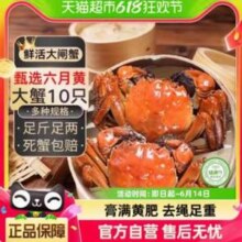 喵满分 六月黄 兴化鲜活大闸蟹 1.0-1.4两 10只送2只