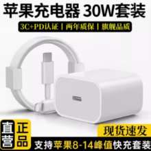 安诗登 适用苹果PD30W快充头+1.0米PD快充