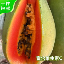 Mr.Seafood 京鲜生 海南中白红心木瓜 净重1.5kg 单果500g-750g源头直发 包邮