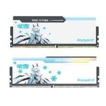 PLUS会员：阿斯加特（Asgard）32GB(16GBx2)套 DDR5 6800 台式机内存 RGB灯条-吹雪联名款