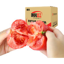 哪咤豆豆 生吃普罗旺斯西红柿 5斤