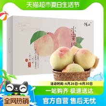 阳山 正宗无锡阳山水蜜桃 6颗（单果200g+）