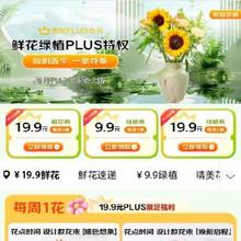 促销活动：京东 PLUS会员鲜花特权 每月尊享一次 9.9包邮定制鲜花/绿植