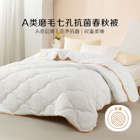BLISS 百丽丝 A类七孔透气抗菌春秋被 200cm×230cm