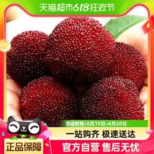 印象仙居 仙居东魁杨梅新鲜水果推荐90粒大果（江浙沪皖专享）