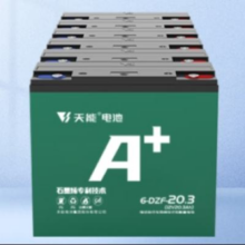 TIANNENG BATTERY 天能电池 天能电动车 60V20Ah 铅酸电池 免费上门安装