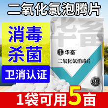 huaxu 华畜 二氧化氯泡腾片消毒水产养殖鱼塘专用鱼药增氧杀菌消毒剂鱼虾池塘 1袋二氧化氯500g/袋