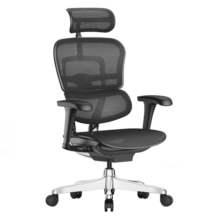 Ergonor保友金豪b2代人体工学椅办公椅子电脑椅游戏电竞椅子 银白网
