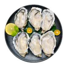 PLUS会员：贝司令（BEISILING）生蚝液氮冻 750g 单只10-12cm 10粒装*2件