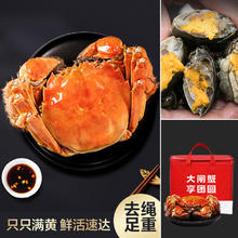 百亿补贴：百家好 森系娃娃领茶歇连衣裙