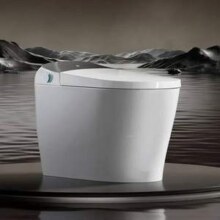 京东京造 黑鲸Pro 智能马桶 8倍冲力静音 无水压限制带水箱坐便器