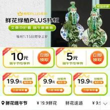 促销活动：京东 PLUS会员鲜花特权 每月尊享一次 9.9包邮定制鲜花/绿植