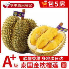 plus会员:正宗泰国金枕榴莲 5-6斤 包4-5房