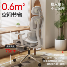 YANXUAN 网易严选 小蛮腰S9pro 人体工学电脑椅 无搁脚 灰色