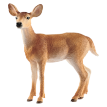 思乐（Schleich S）仿真动物模型 母长颈鹿小长颈鹿白尾鹿剑羚非洲草原动物儿童玩具 白尾母鹿玩具14819