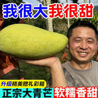 果果首富 越南大青芒特级青皮芒果软糯香甜新鲜现摘金煌芒净重4.7斤