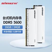 百亿补贴：SEIWHALE 枭鲸 审判者台式机电脑内存条ddr5 16GB 5600MHz