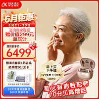 iFLYTEK 科大讯飞 耳背式助听器 VAN pro 203-星河版【双耳】