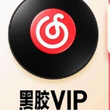 NetEase CloudMusic 网易云音乐 VIP黑胶会员12个月 年卡