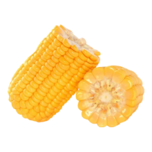 石门冬 新鲜甜粘糯黄糯玉米 5支/800g
