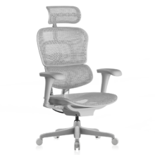 PLUS：Ergonor 保友办公家具 金豪B 2代 人体工学电脑椅 银白网 尼龙脚