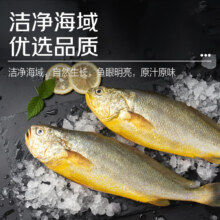 plus会员、京东百亿补贴：鲜京采 冰鲜黄鱼400g*4条(净重1.6kg) 宁德特产