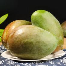百果捞铺子 四川攀枝花凯特芒 大果/9斤