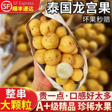 山小土龙宫果两斤装