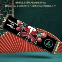 梵想（FANXIANG）1TB SSD固态硬盘 台式机笔记本电脑AI PC存储配件 S500PRO