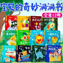PLUS会员：宝贝的奇妙洞洞书 绘本0-3岁加厚撕不烂婴儿早教书  第二辑