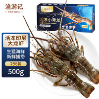 渔游记 YUYOUJI）印尼小青龙虾500g/2只