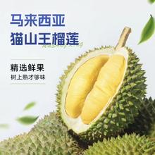 马来猫山王榴莲 4.5斤装保5房